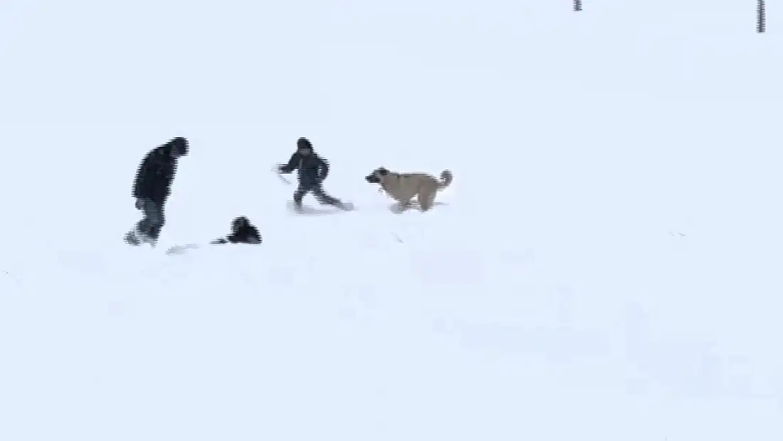 Çocuklar ve Sevimli Misafirden Kar Eğlencesi