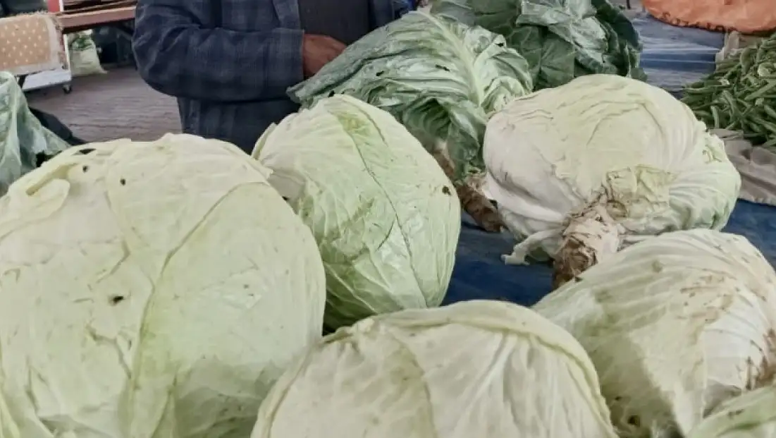 Darende’nin Göyyar Lahanası Gastromasa’da Ulusal Vitrine Çıktı