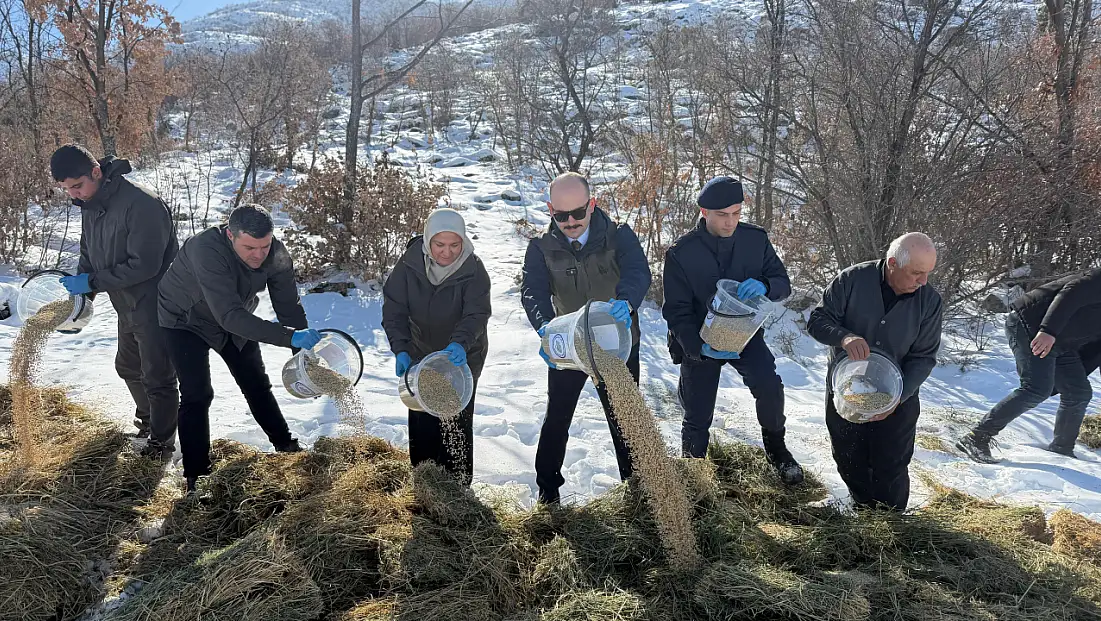 Doğanşehir’de Yaban Hayatı İçin Kış Seferberliği