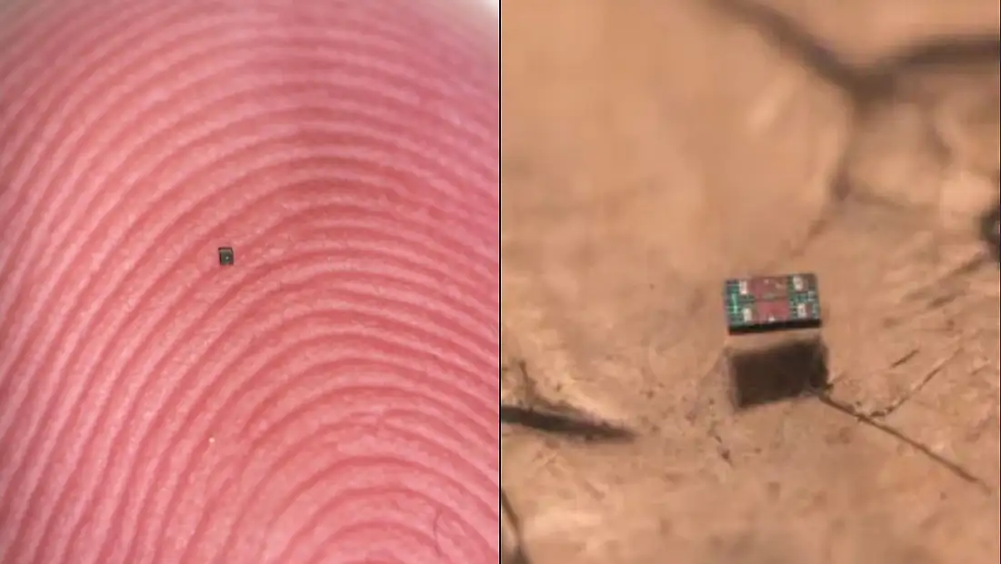 Dünyanın En Küçük Otonom Robotu Geliştirildi