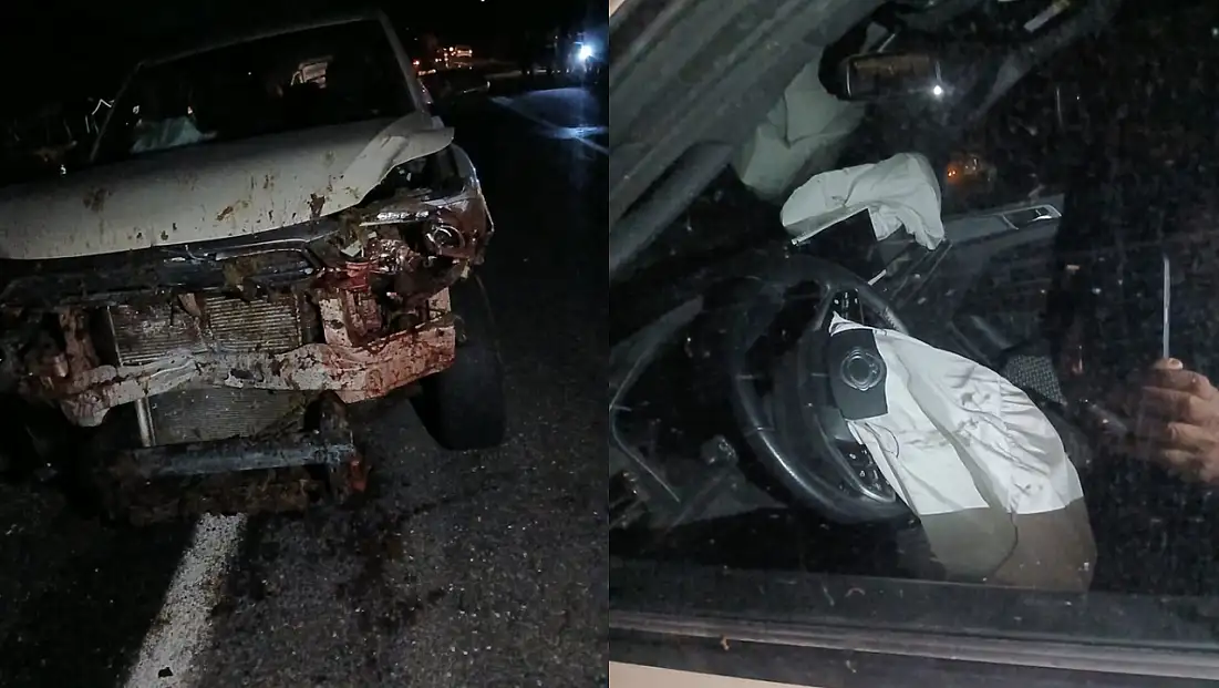 Elazığ Karakoçan’da Kaza: 30 Küçükbaş Hayvan Telef Oldu