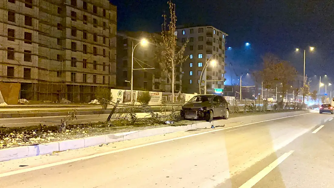 Köpeğe Çarpan Otomobil Kontrolden Çıkıp Refüje Çarptı