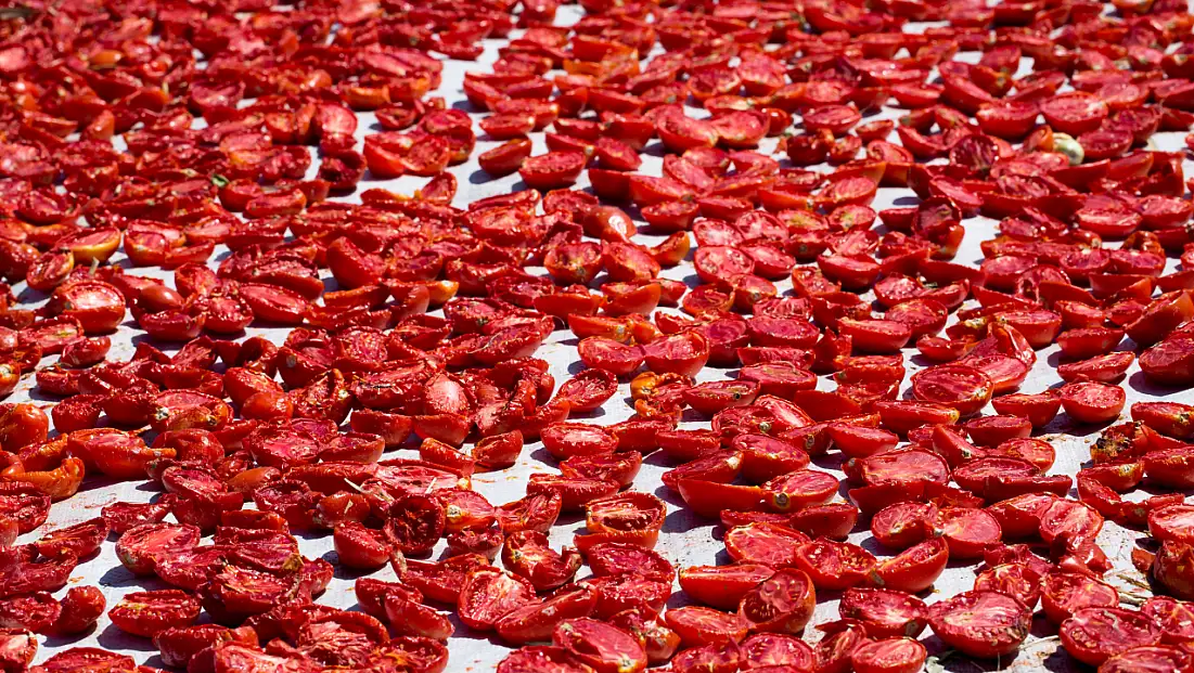 Kuru domates ihracatı 100 milyon doları aştı