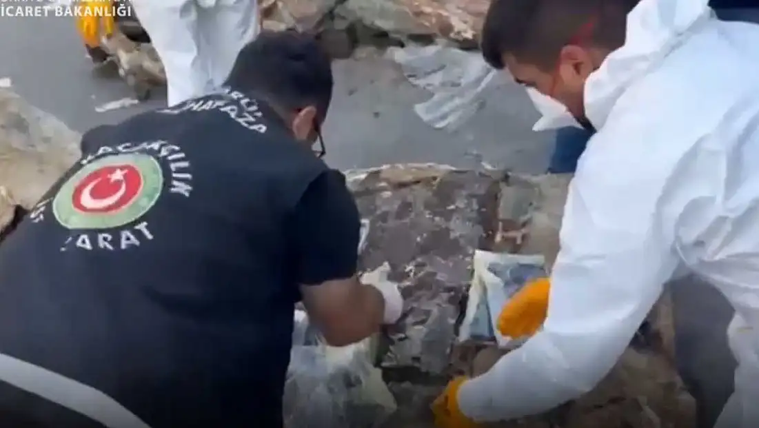 Sarp ve İstanbul’da Çifte Operasyon: 601 Kilo Uyuşturucu Ele Geçirildi