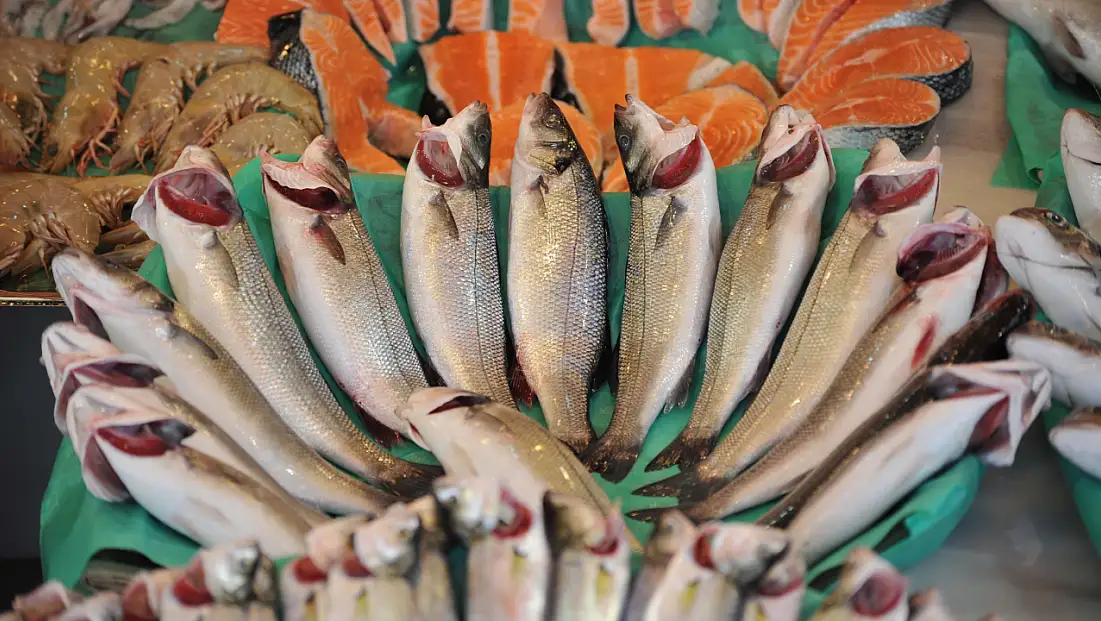 Su ürünleri ve hayvansal mamuller ihracatı 4 milyar doları aştı