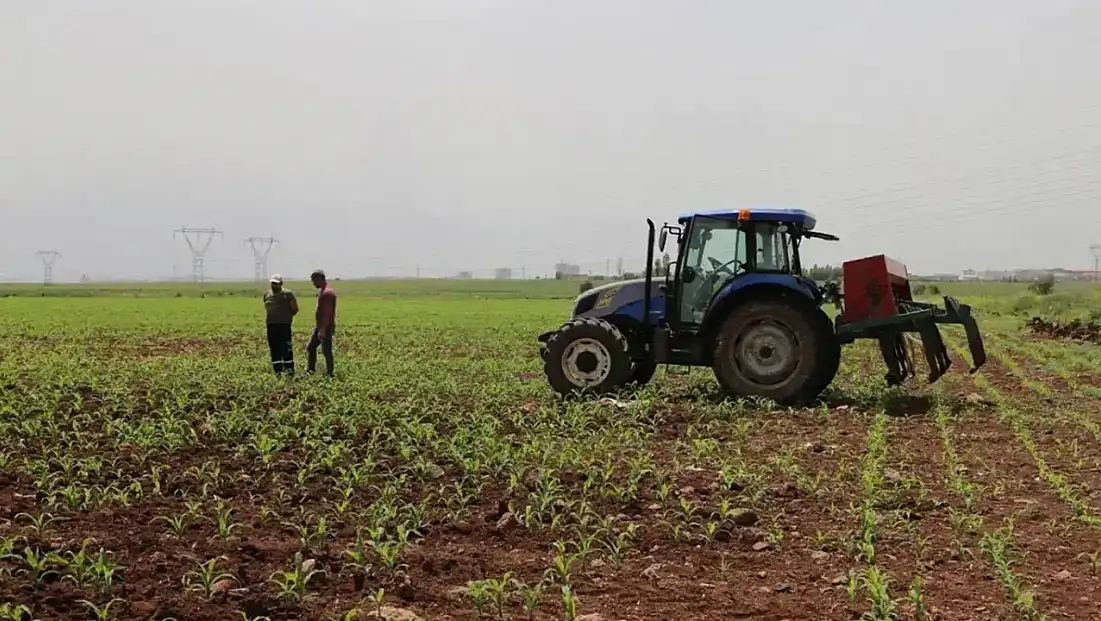 Tarım ÜFE Ocak’ta Sert Yükseldi: Aylık Artış Yüzde 8,46