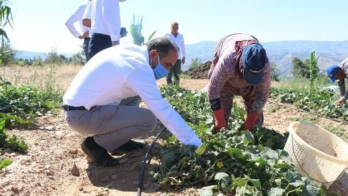 1 Milyar dolar ihracat hedefine üreticilerimizle birlikte ulaşacağız