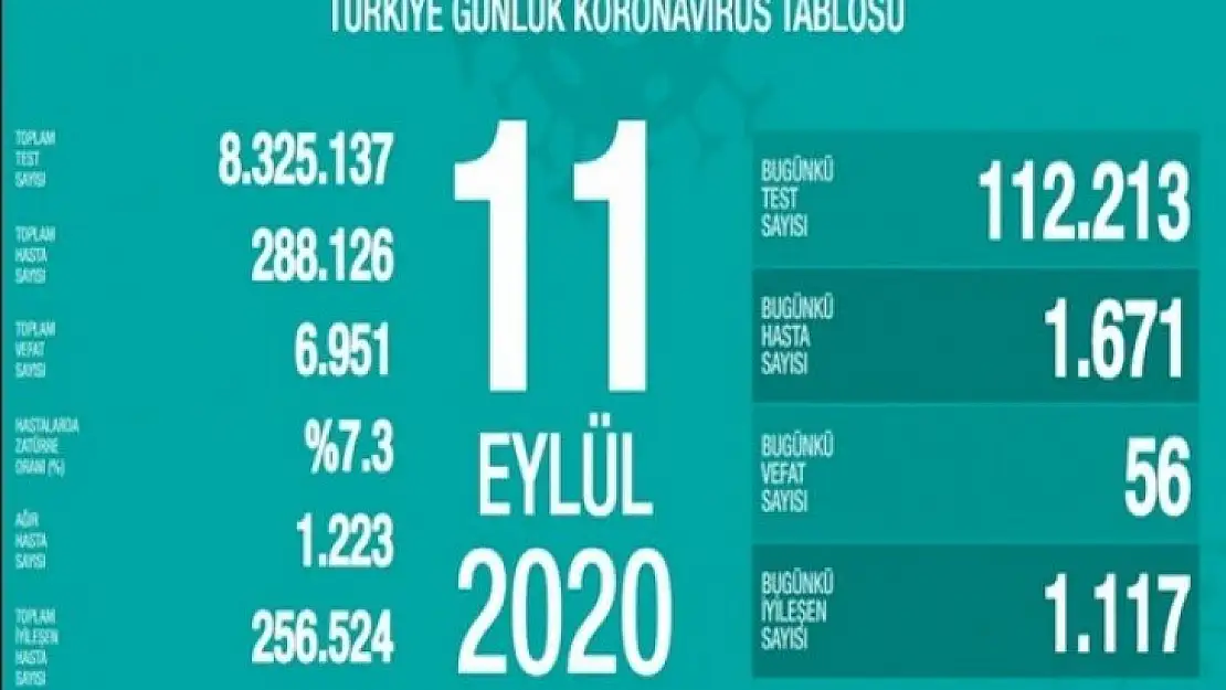 11 Eylül koronavirüs tablosu