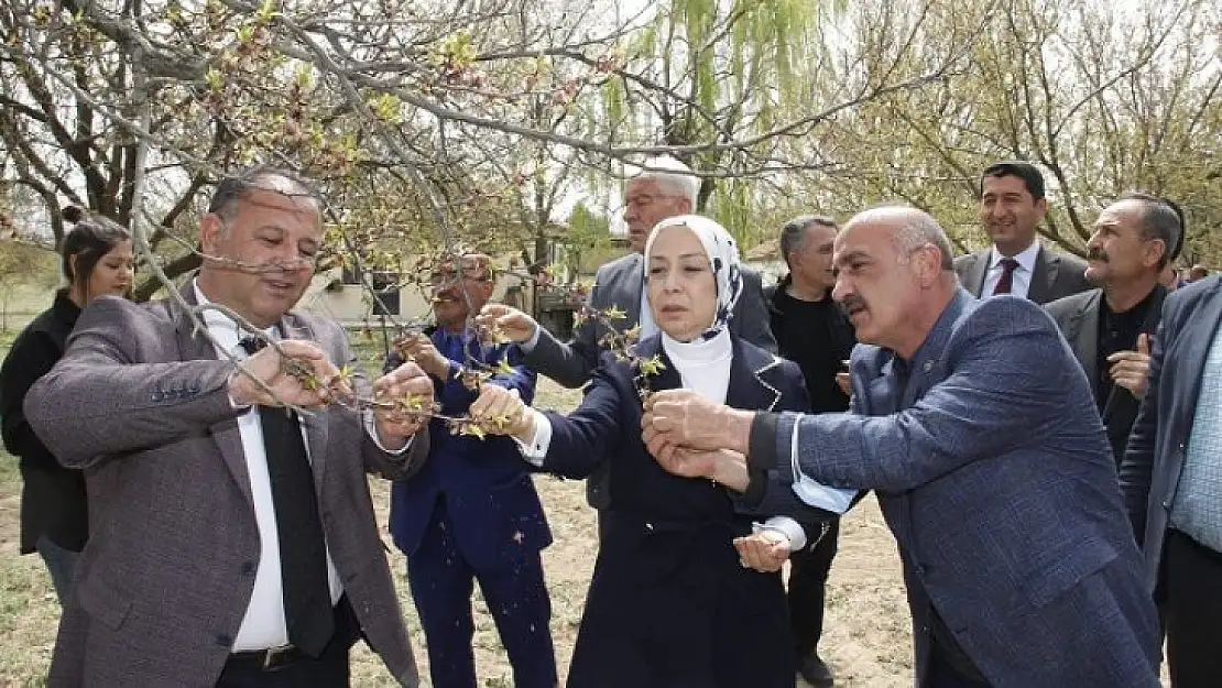 15 gün içerisinde ön hasar tespitleri tamamlanacak