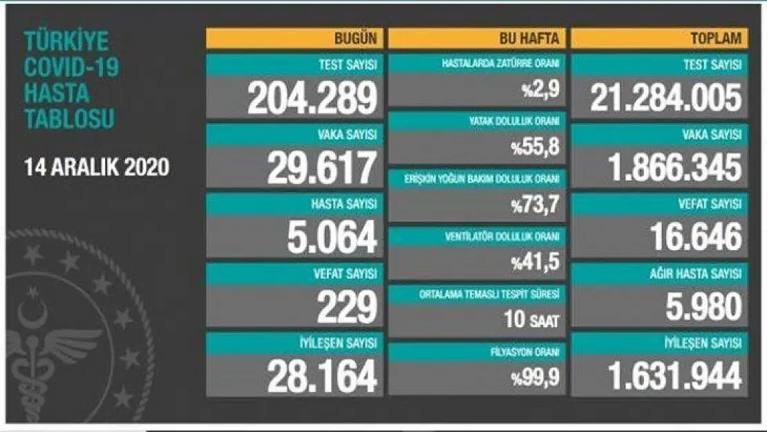 229 kişi hayatını kaybetti.