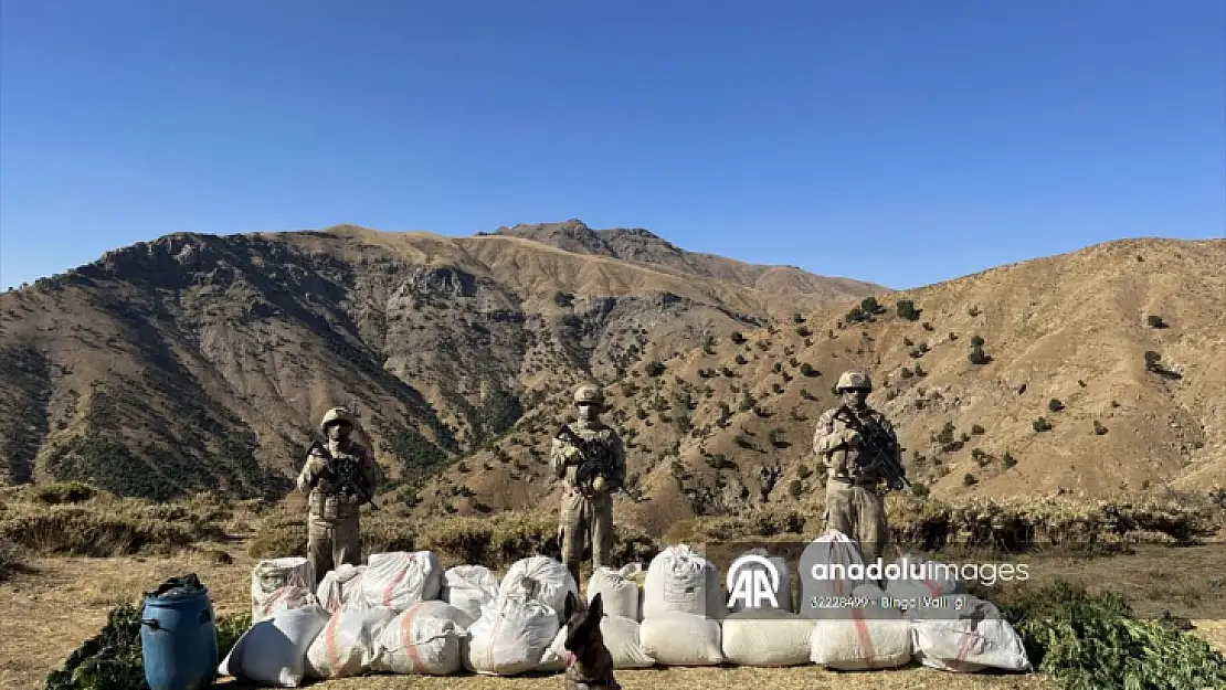 529 kilo 600 gram esrar ve 3 milyon 158 bin kök kenevir ele geçirildi