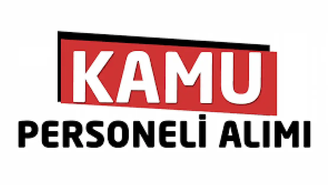 Aralık ayı kamu personeli alımları