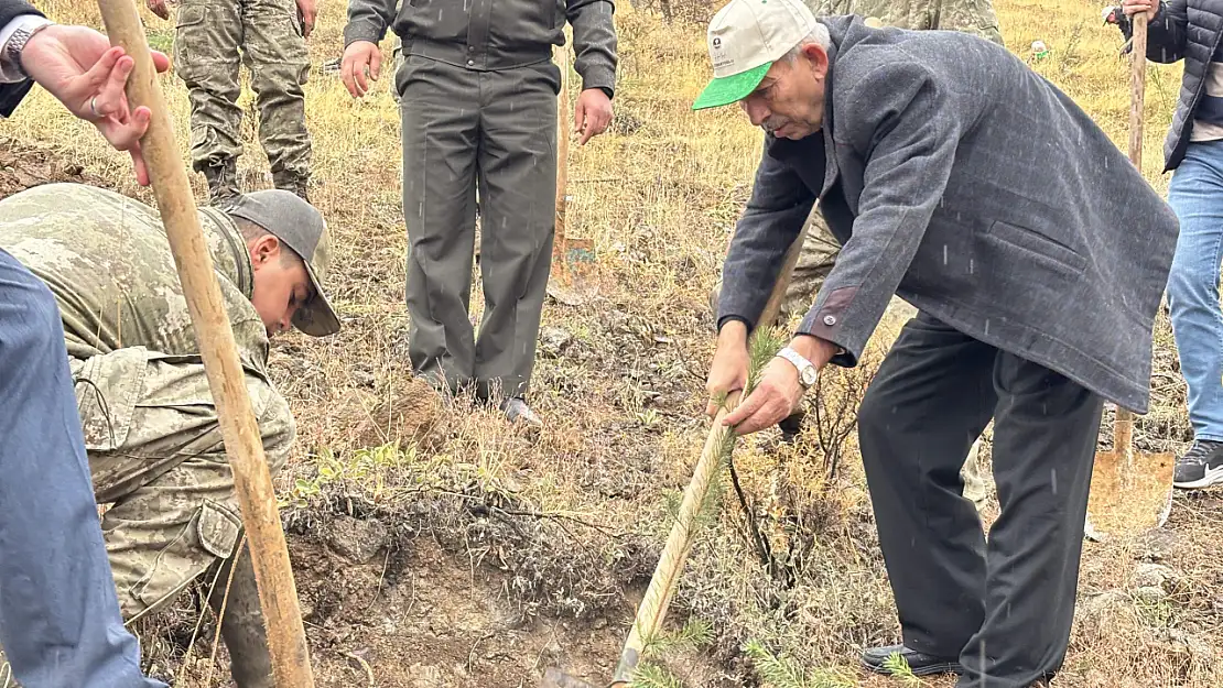 Arapgir'de 11 Kasım Milli Ağaçlandırma Günü kapsamında onlarca fidan toprakla buluştu.