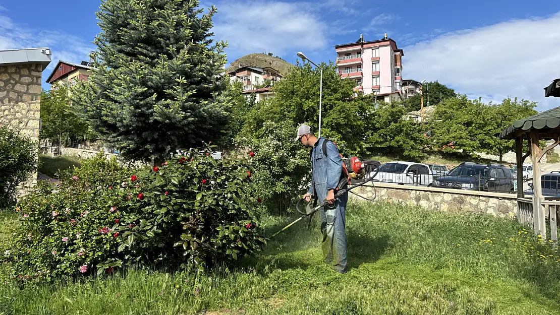 Arapgir'de çim biçme ve temizlik çalışmaları