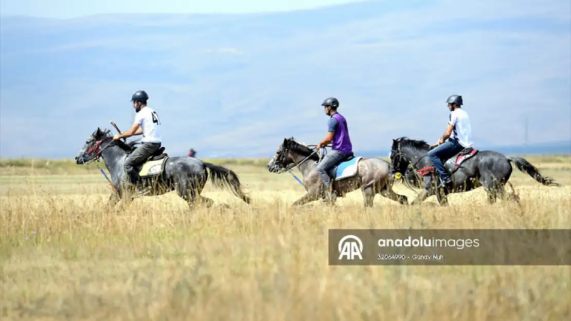 Ardahan'da '9. Rahvan At Yarışları ve 7. Doğu Anadolu Şampiyonası' yapıldı