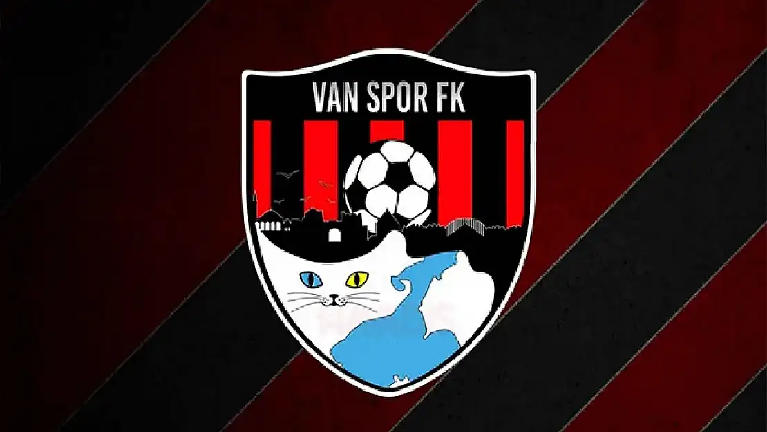 Artı Değer Van Spor, 1. Lig'de