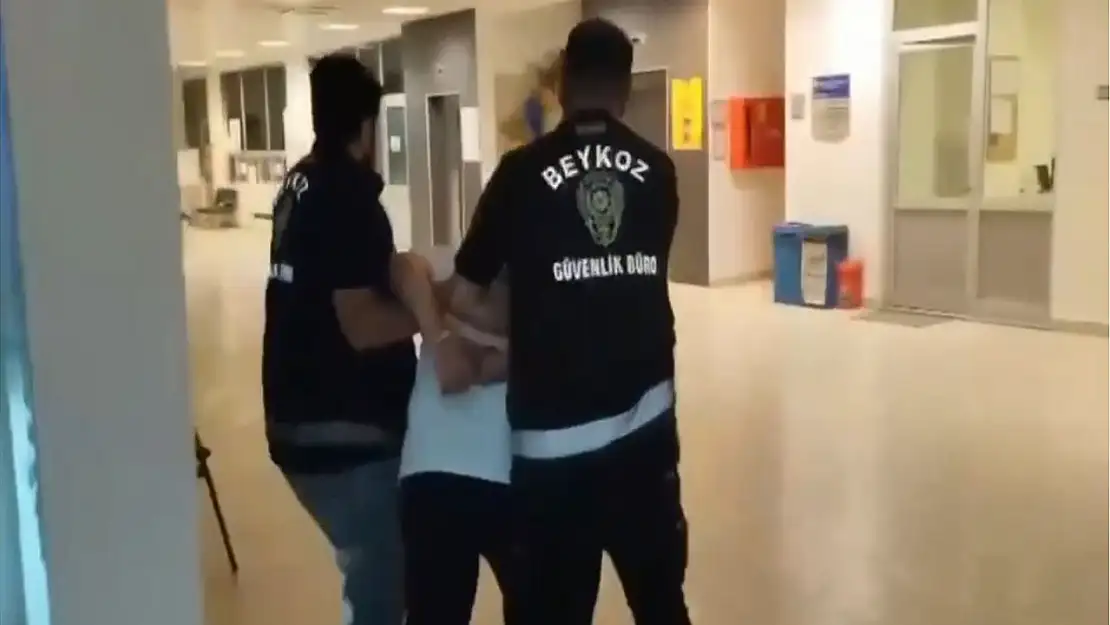 Beykoz'daki orman yangınının şüphelisi tutuklandı