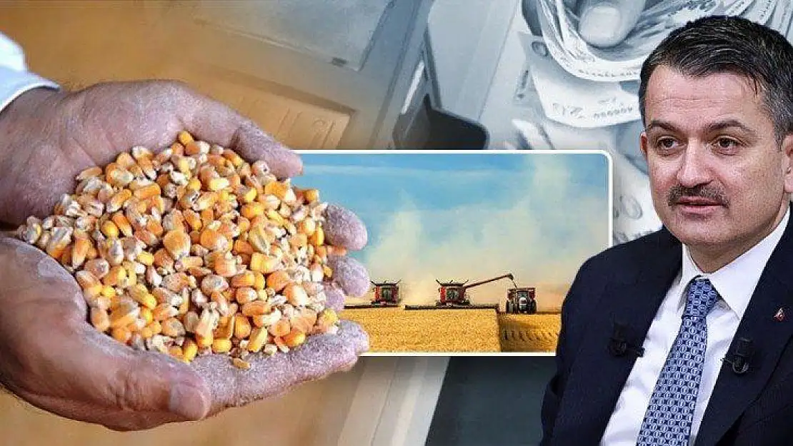 Bugün İtibariyle Üreticilerin Hesaplarına aktarılmaya Başlandı