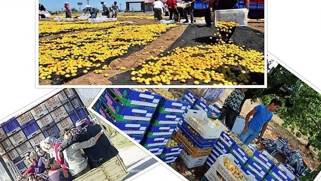Mevsimlik İşçi Taşıma Kuralları
