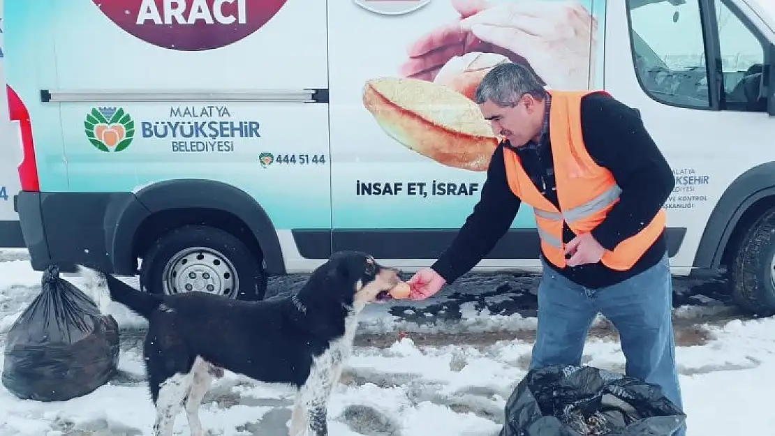 Büyükşehir Belediyesinden hayvanlara şefkat eli