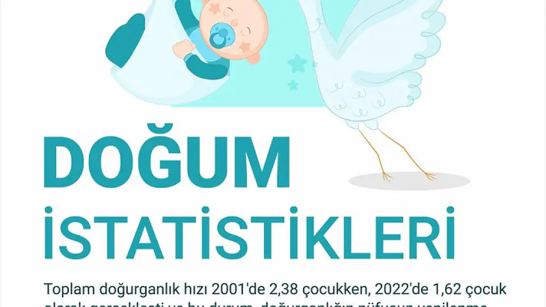 Canlı doğan bebek sayısı 1 milyon 35 bin 795 oldu