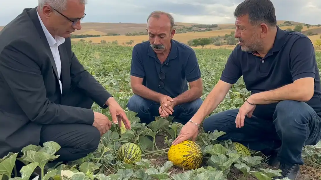 CHP'li Ağbaba: 'Malatya tarımı çökmüş durumda'