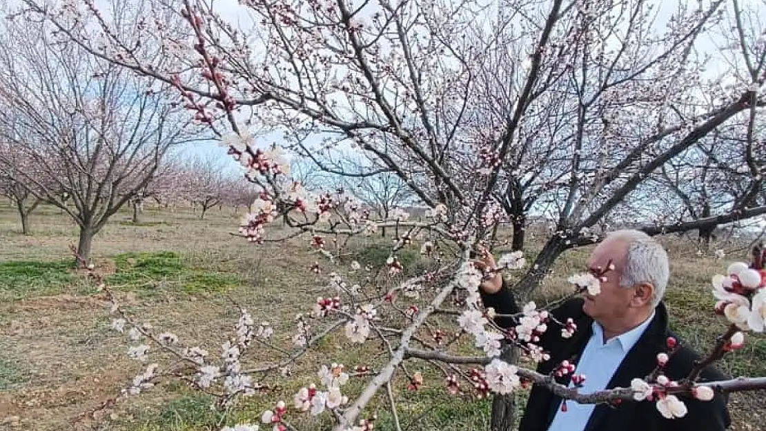 Çiçek,' Zirai Mücadeleyi Aksatmamak Gerekiyor'