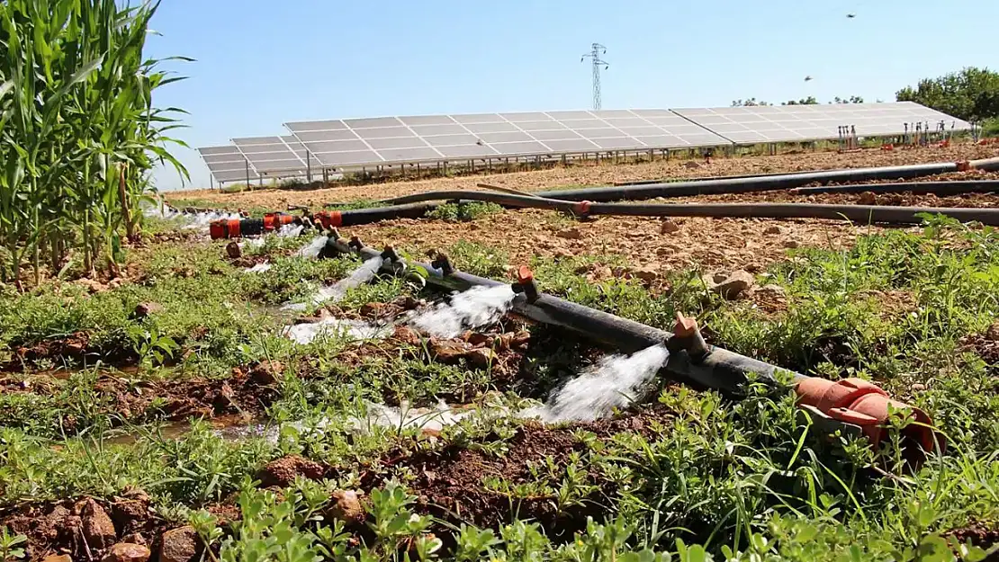 Çiftçilere 5,5 milyar liralık destek ödemesi bugün hesaplara yatırılıyor