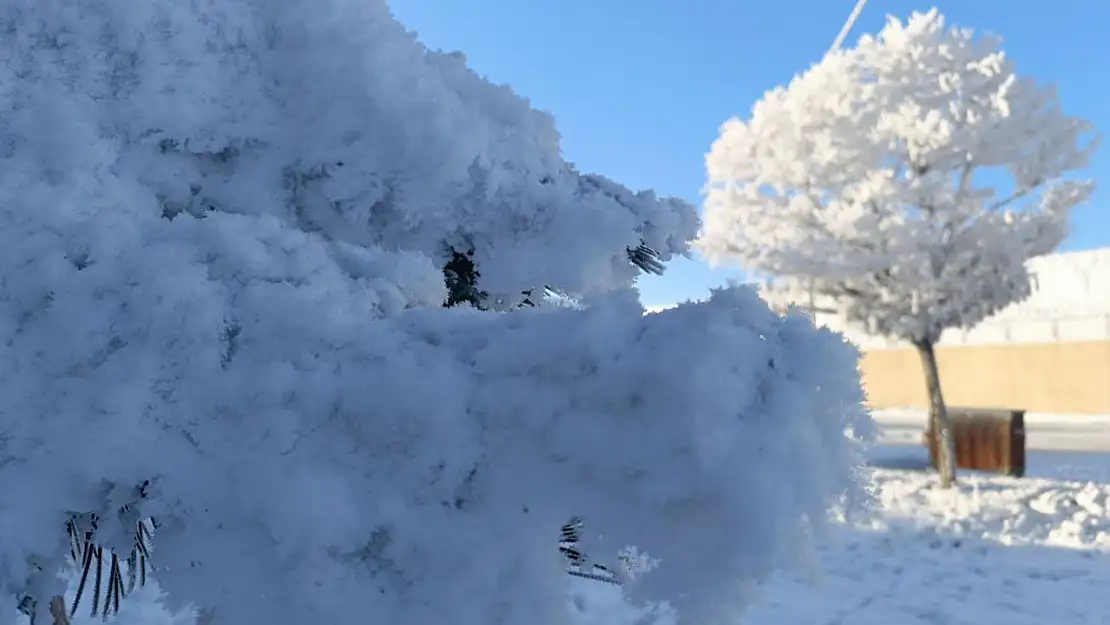 Doğu Karadeniz'de kuvvetli kar yağışı bekleniyor