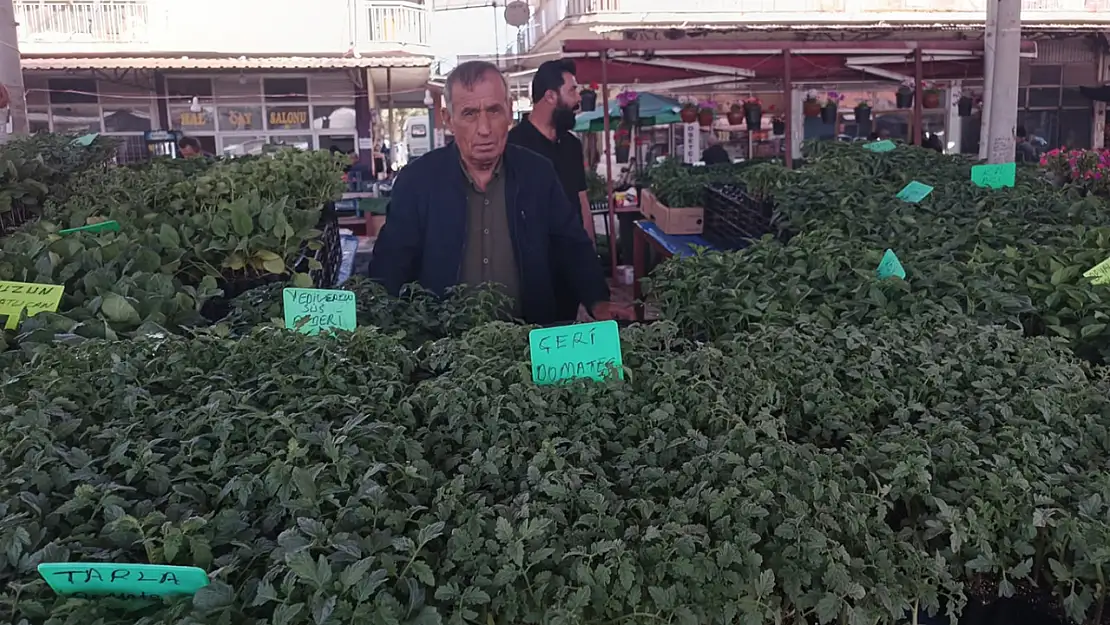Don felaketinden sonra sebze fidelerine talep arttı