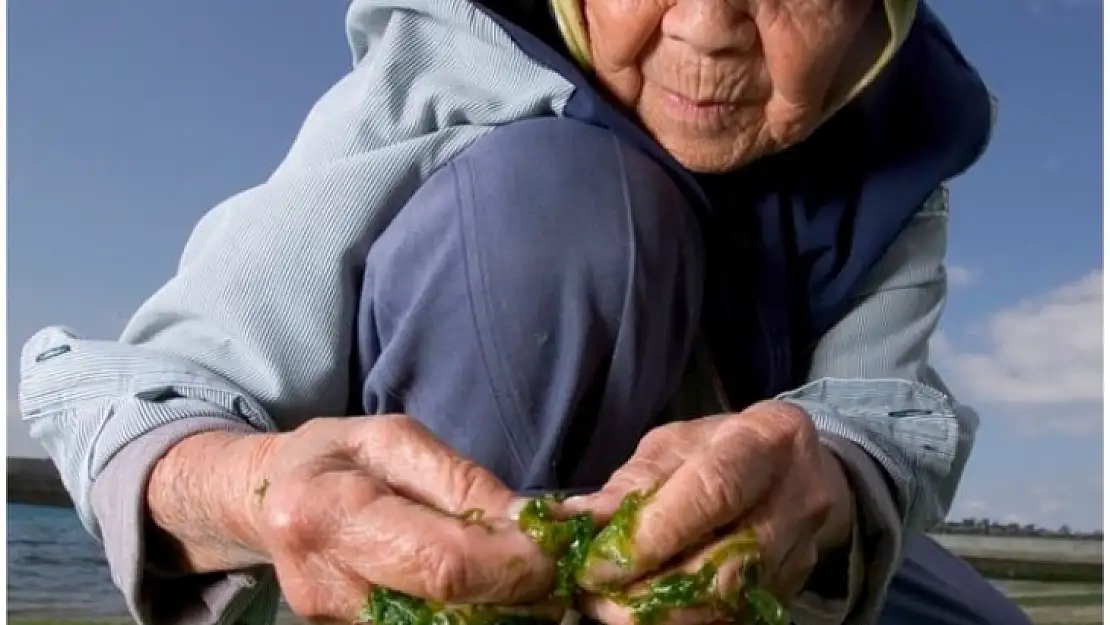 Dünyadaki Uzun Yaşam 'Blue Zones'  Mavi Bölgelerin Ortak Sırrı !