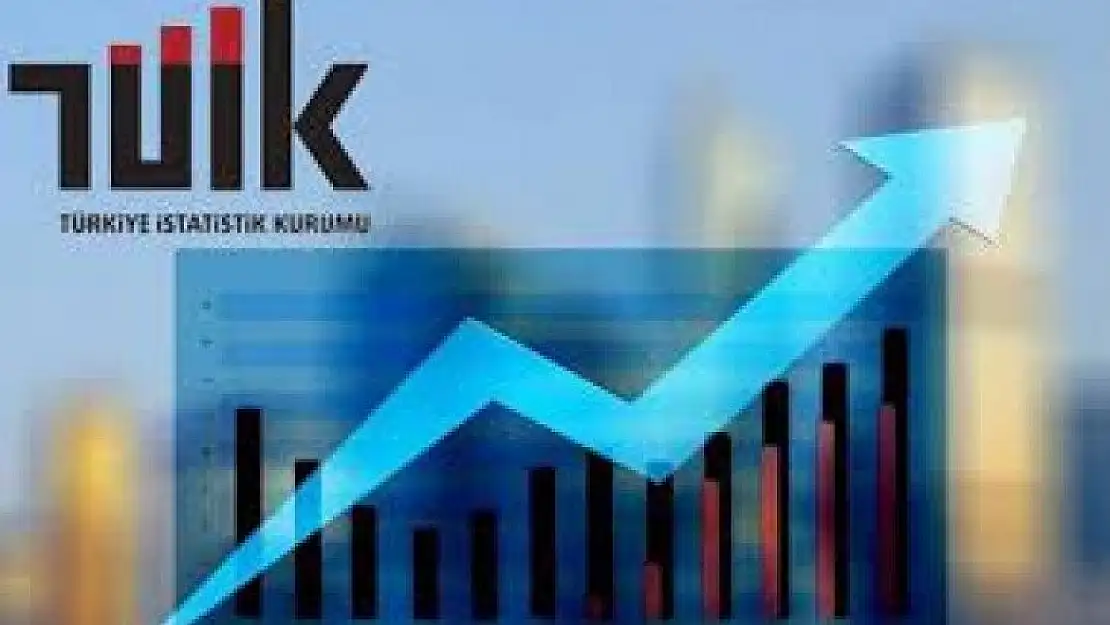 Eğitim Harcamaları İstatistikleri