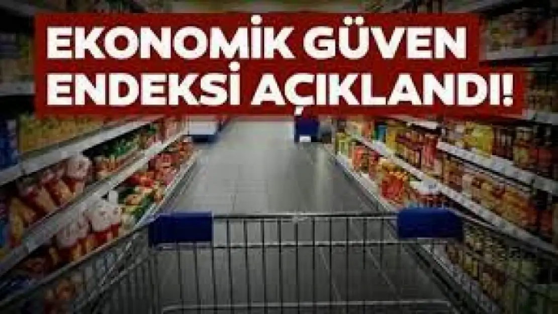 Ekonomik güven endeksi 95,8 oldu