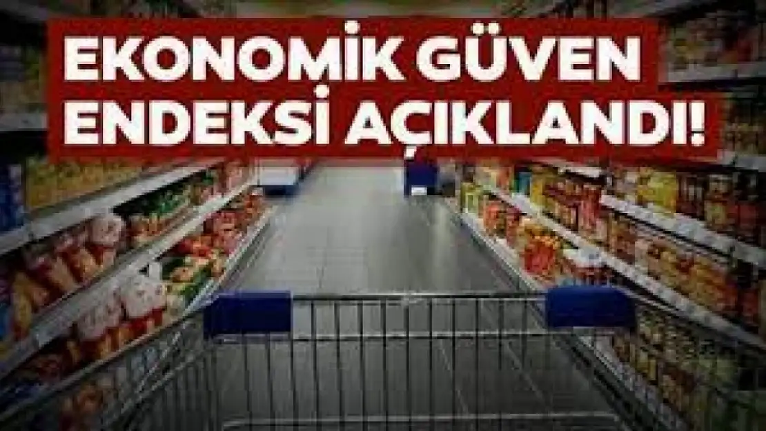 Ekonomik güven endeksi 99,0 oldu