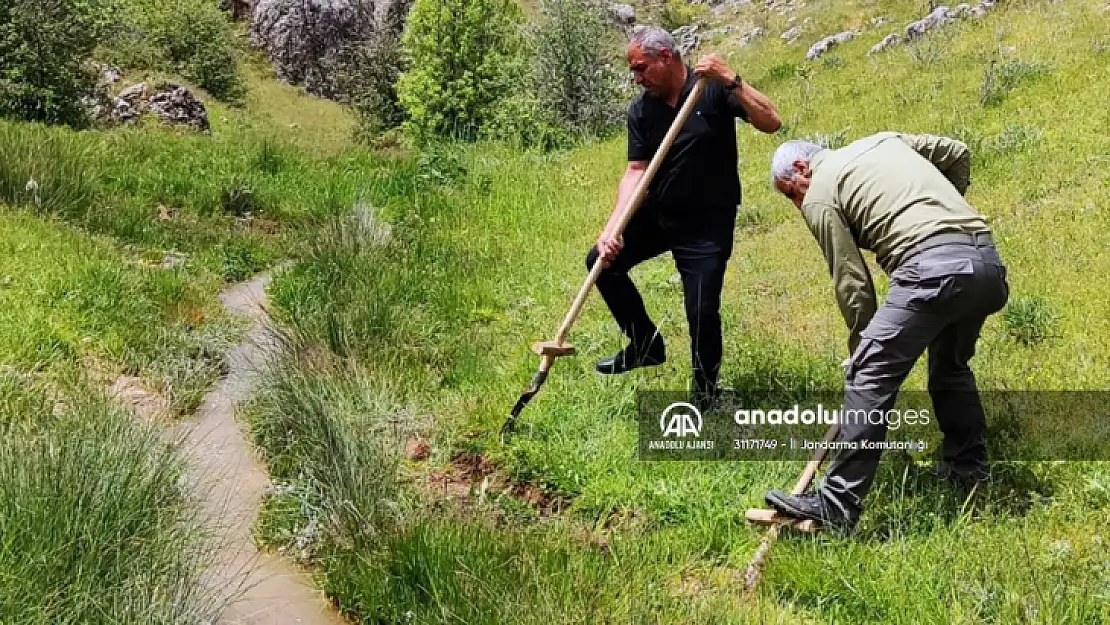 Elazığ'da kaçak salep soğanı toplayan 6 kişiye 1 milyon 464 bin lira ceza kesildi