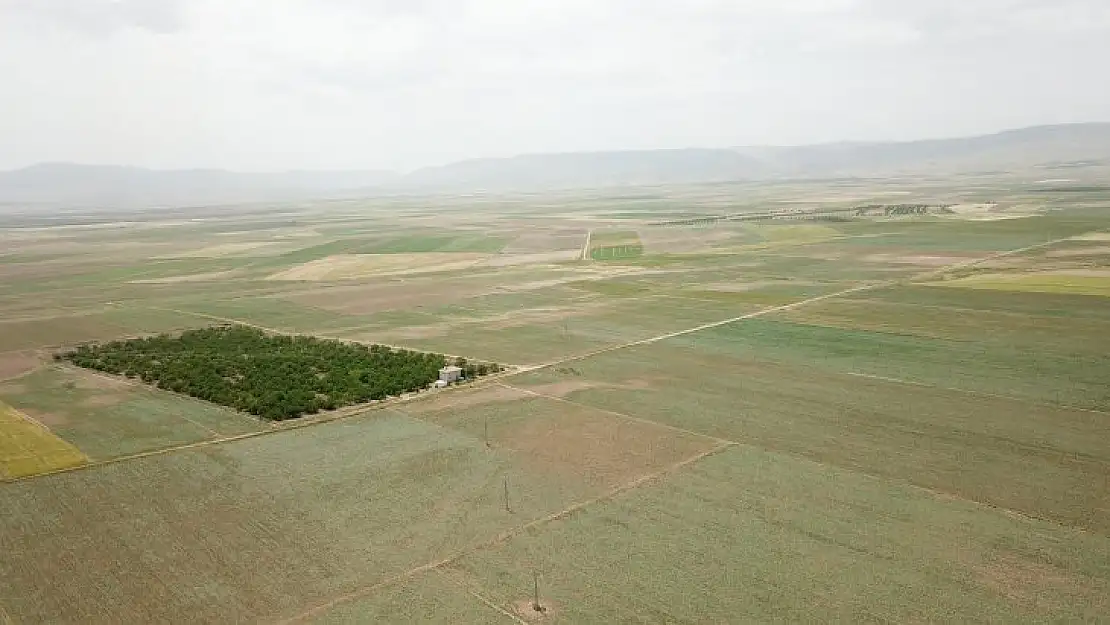 Elazığ Ve Malatya'da 304 Bin 391 Dekar Alanda Toplulaştırma Yapıldı