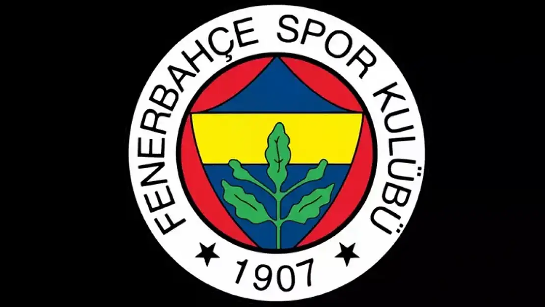 Fenerbahçe Norveçli Hakemİ Geçemedi