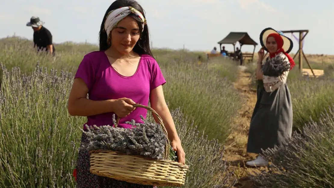 Fotoğraf Severler, Arguvan İlçesinin Doğal Güzelliklerini Objektiflerine Yansıttı