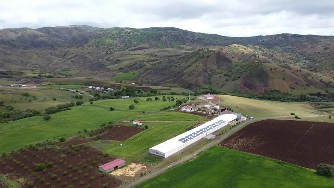 Gurbetten geldiği köyüne can verdi