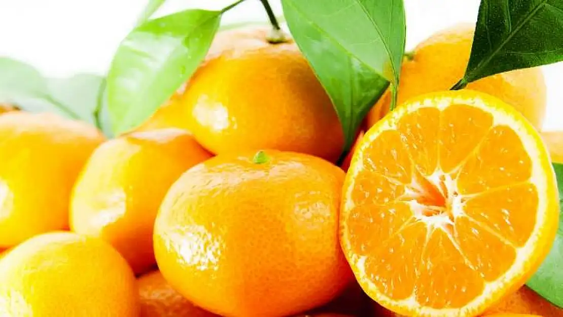 Satsuma mandalina ihracatında aslan payı Rusya'nın