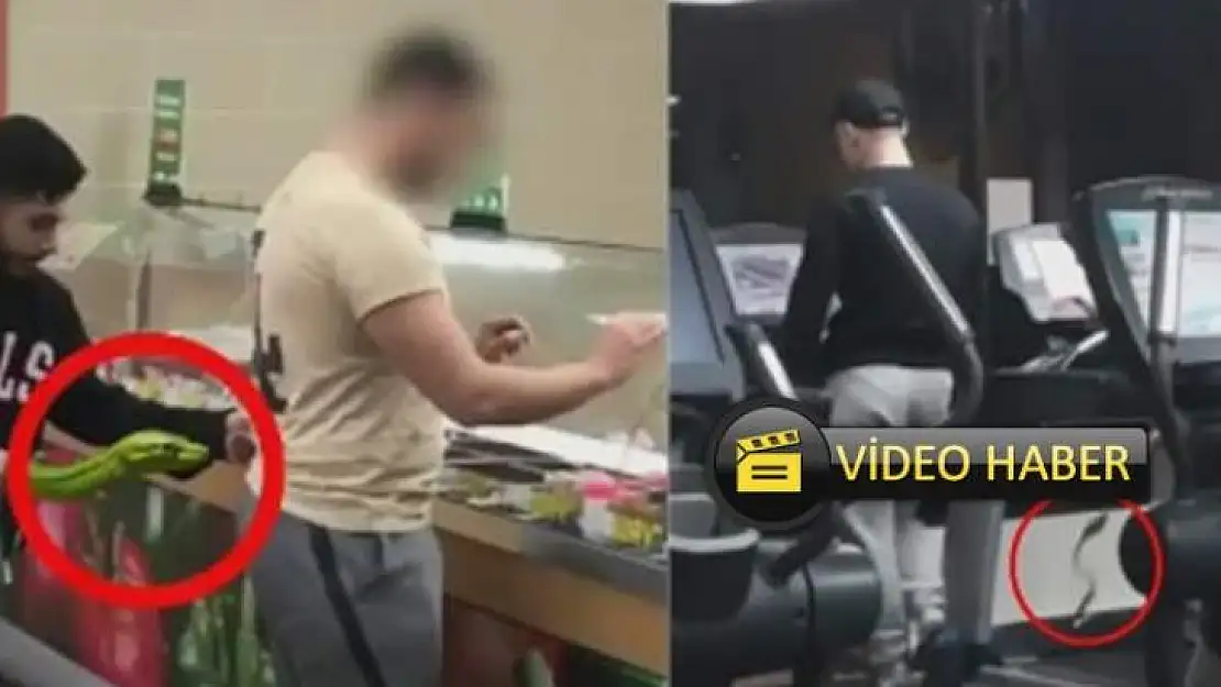 Yılan şakası akıllarını aldı