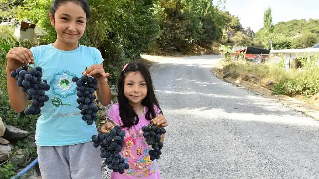 Tarımda yüksek enflasyona'İzm ir freni'