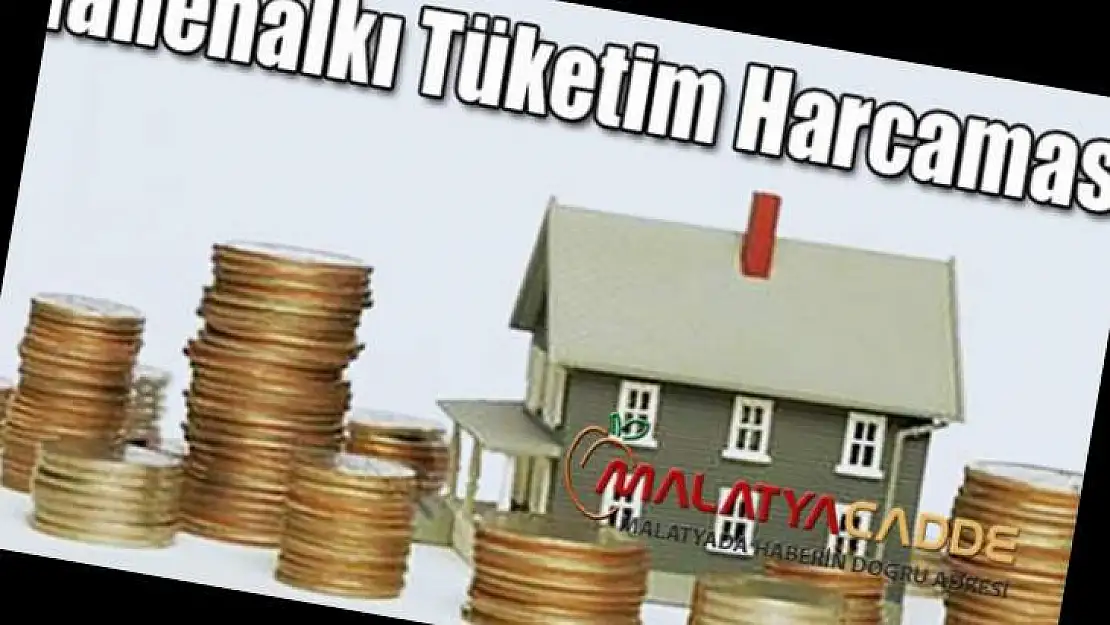 Hanehalkı Tüketim Harcaması