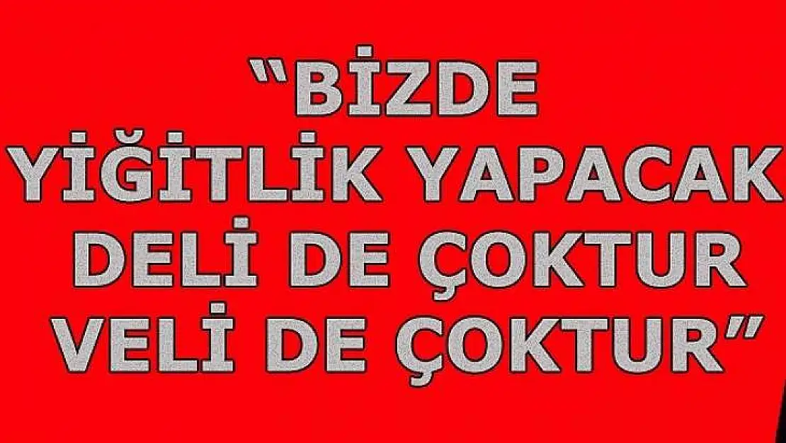 'Bizde Yiğitlik Yapacak Deli De Çoktur, Veli De Çoktur'