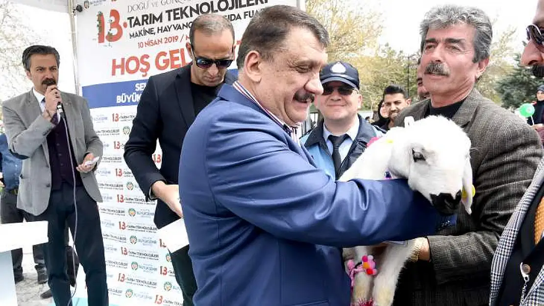 Malatya'nın En Güzel Kuzusu Seçildi