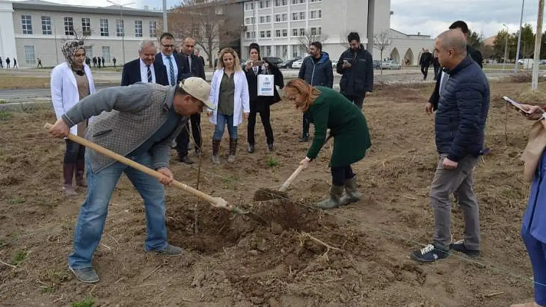 MTÜ Tarım Kampüsüne örnek kayısı bahçesi kuruluyor