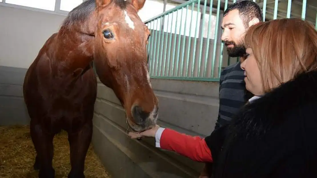 MTÜ Atçılık ve Atlı Sporları Uygulama ve Araştırma Merkezi kuruldu