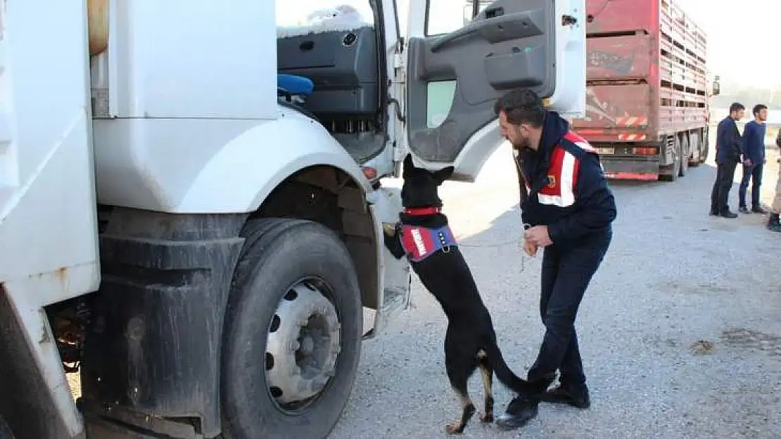 Bingöl'de Jandarma'dan Huzur Operasyonu