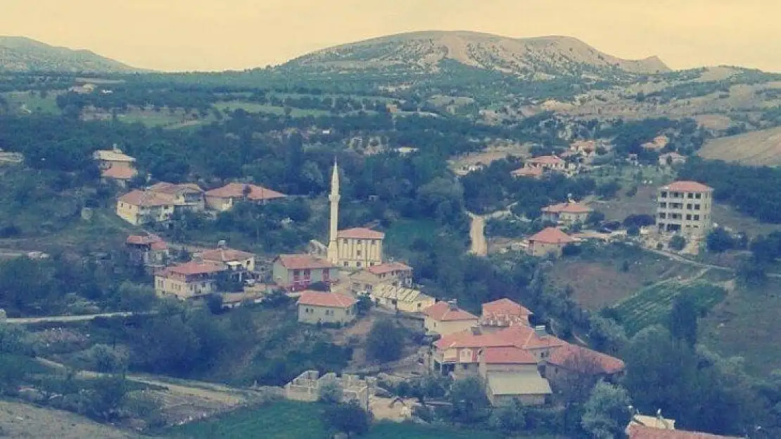 Hekimhan Dumlu Mahallesi Karantinaya alındı