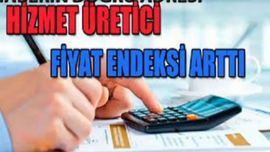 Hizmet Üretici Fiyat Endeksi arttı